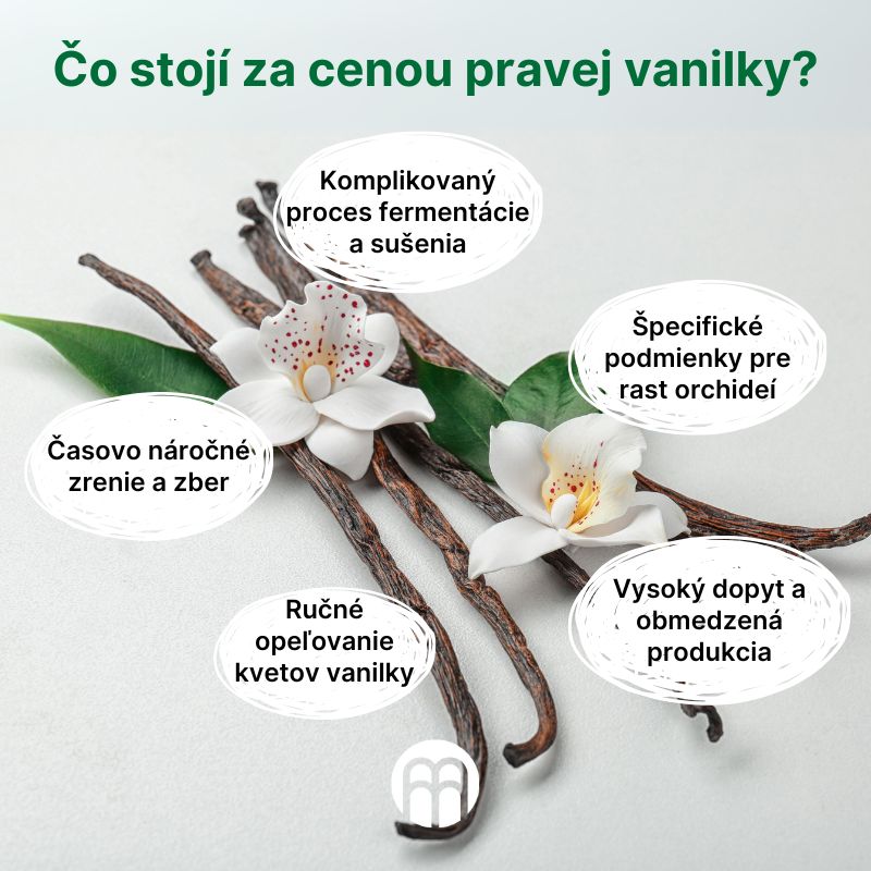 (Slovenčina) Co stojí za cenou pravé vanilky